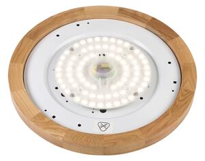 Brilagi - LED stropné svietidlo BELLADONNA LED/36W/230V pr. 40 cm biela/dub