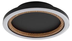 Globo 67356D - LED Stropné svietidlo DAKARI I LED/12W/230V 3000K pr. 20,5 cm