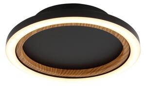 Globo 67356D - LED Stropné svietidlo DAKARI I LED/12W/230V 3000K pr. 20,5 cm
