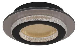 Globo 48042-12G - LED stropné svietidlo JAYDEN LED/12W/230V, priemer 20 cm, čierne
