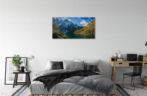 Obraz canvas jazierka salašnícky 100x50 cm