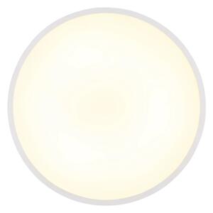 Globo 41566-15W - LED stropné svietidlo NIELSEN LED/15W/230V 4000K pr. 23 cm biela