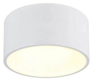 Globo 56964W - LED stropné svietidlo RAYMOND LED/12W/230V 3000K priemer 15 cm biele