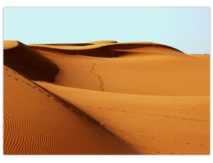Obraz - Stopy v púšti (70x50 cm)