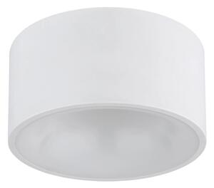 Globo 56964W - LED stropné svietidlo RAYMOND LED/12W/230V 3000K priemer 15 cm biele