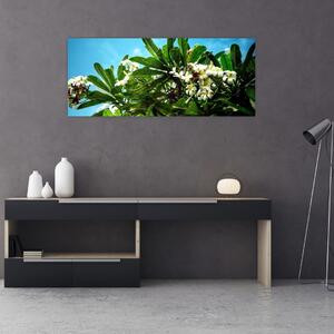 Obraz - Plumeria (120x50 cm)