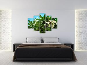 Obraz - Plumeria (150x105 cm)