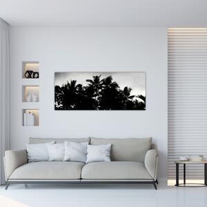 Obraz čiernobiely - palmy (120x50 cm)