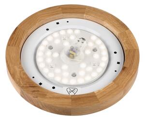 Brilagi - LED Stropné svietidlo BELLADONNA LED/20W/230V pr. 30 cm biela/dub