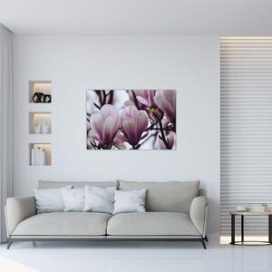 Obraz - Magnolie (90x60 cm)