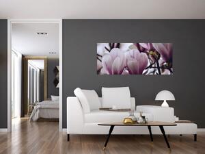 Obraz - Magnolie (120x50 cm)