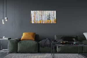 Obraz canvas jesene breza 100x50 cm