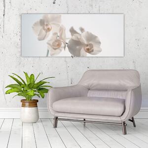 Obraz bielej orchidey (120x50 cm)