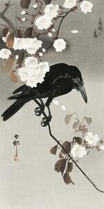Umelecká tlač Crow And Cherry Blossom, Ohara Koson, (20 x 40 cm)
