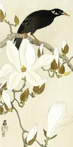 Umelecká tlač Myna On Magnolia Branch, Ohara Koson, (20 x 40 cm)
