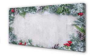 Obraz na plátne Snehové šišky 100x50 cm
