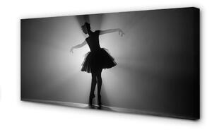 Obraz canvas Baletka sivé pozadie 100x50 cm