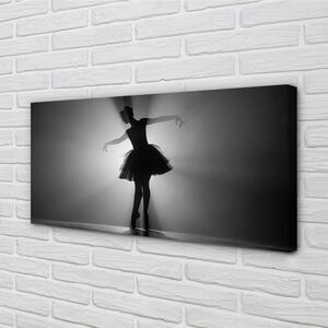 Obraz canvas Baletka sivé pozadie 100x50 cm