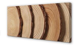 Obraz canvas plátky obilia dreva 100x50 cm