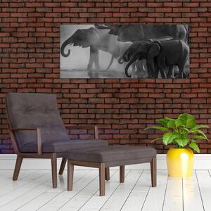 Obraz slonov - čiernobiely (120x50 cm)