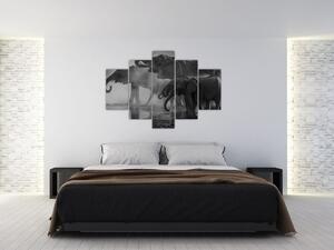 Obraz slonov - čiernobiely (150x105 cm)