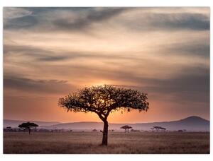 Obraz západu slnka v Tanzánii (70x50 cm)