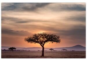 Obraz západu slnka v Tanzánii (90x60 cm)