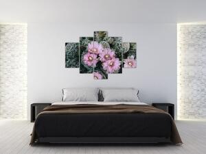 Obraz kvet kaktusu (150x105 cm)