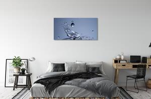 Obraz canvas Kvapka vody close-up 100x50 cm
