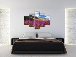 Obraz scenérie horské lúky (150x105 cm)