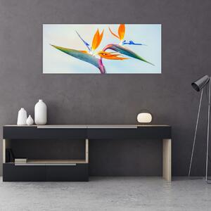 Obraz kvetu Strelícia (120x50 cm)