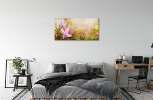 Obraz canvas Magnólia strom slnko 100x50 cm