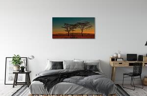 Obraz canvas oblohy stromu 100x50 cm
