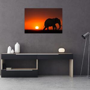Obraz slona pri západe slnka (90x60 cm)