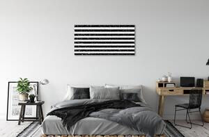Obraz na plátne Škvrny zebra pruhy 100x50 cm