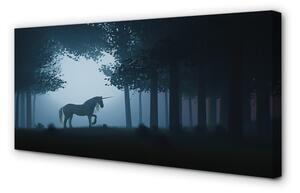 Obraz na plátne Las noc jednorožec 100x50 cm