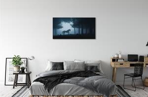 Obraz na plátne Las noc jednorožec 100x50 cm