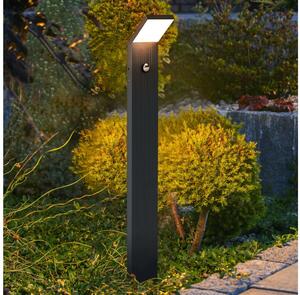 Brilagi - LED vonkajšie svietidlo so senzorom RIANO LED/8W/230V antracit IP65 80 cm