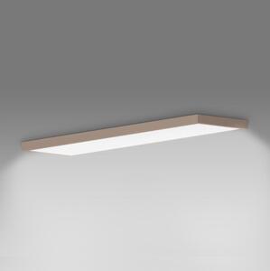 Brilagi-LED Kúpeľňové stropné svietidlo FRAME LED/50W/230V 120x30 cm IP44 béžová