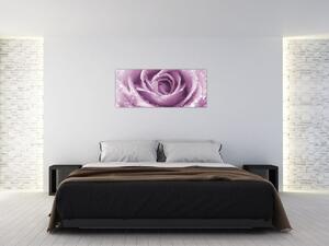 Obraz detailu kvetu ruže (120x50 cm)