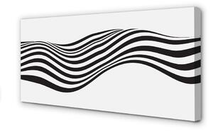Obraz na plátne Zebra pruhy vlna 100x50 cm