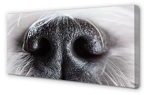 Obraz na plátne psie ňufák 100x50 cm