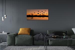 Obraz na plátne Lietajúce vtáky sunset 100x50 cm
