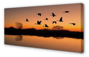 Obraz na plátne Lietajúce vtáky sunset 100x50 cm