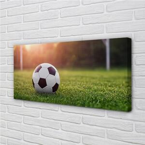 Obraz canvas Futbal tráva gateway 100x50 cm