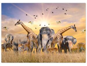 Obraz - Africké zvieratá (70x50 cm)
