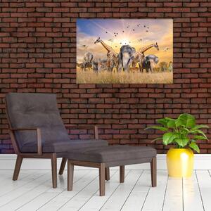 Obraz - Africké zvieratá (90x60 cm)