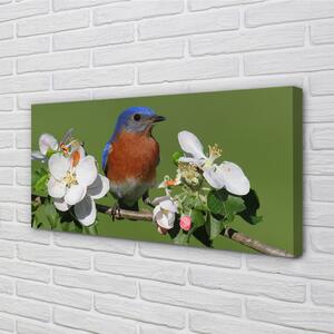 Obraz na plátne Kvety farebné papagáj 100x50 cm