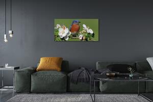 Obraz na plátne Kvety farebné papagáj 100x50 cm