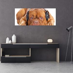 Obraz psa so slúchadlami (120x50 cm)